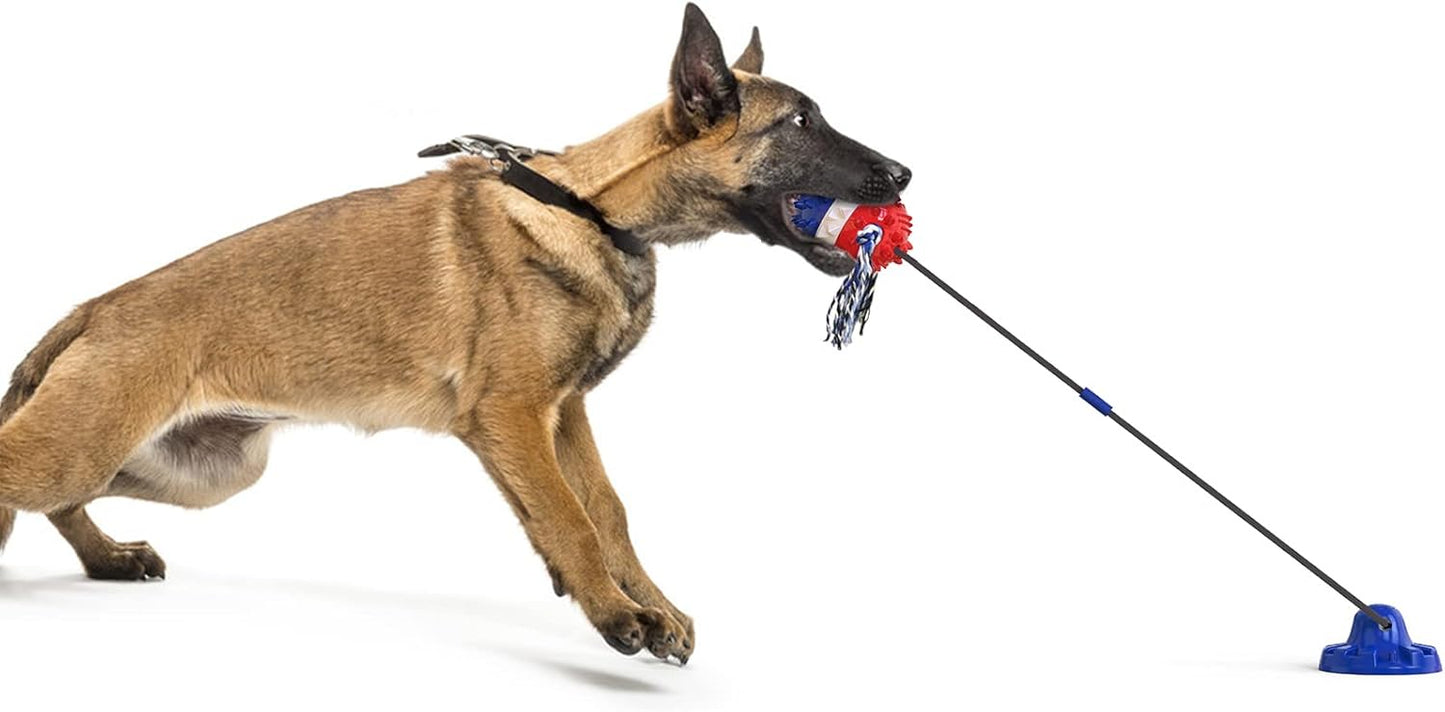 Suction Cup Tug Toy for Aggressive Chewers