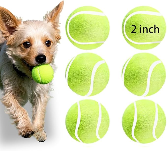 Automatic Dog Ball Launcher – Rechargeable with 12 Balls