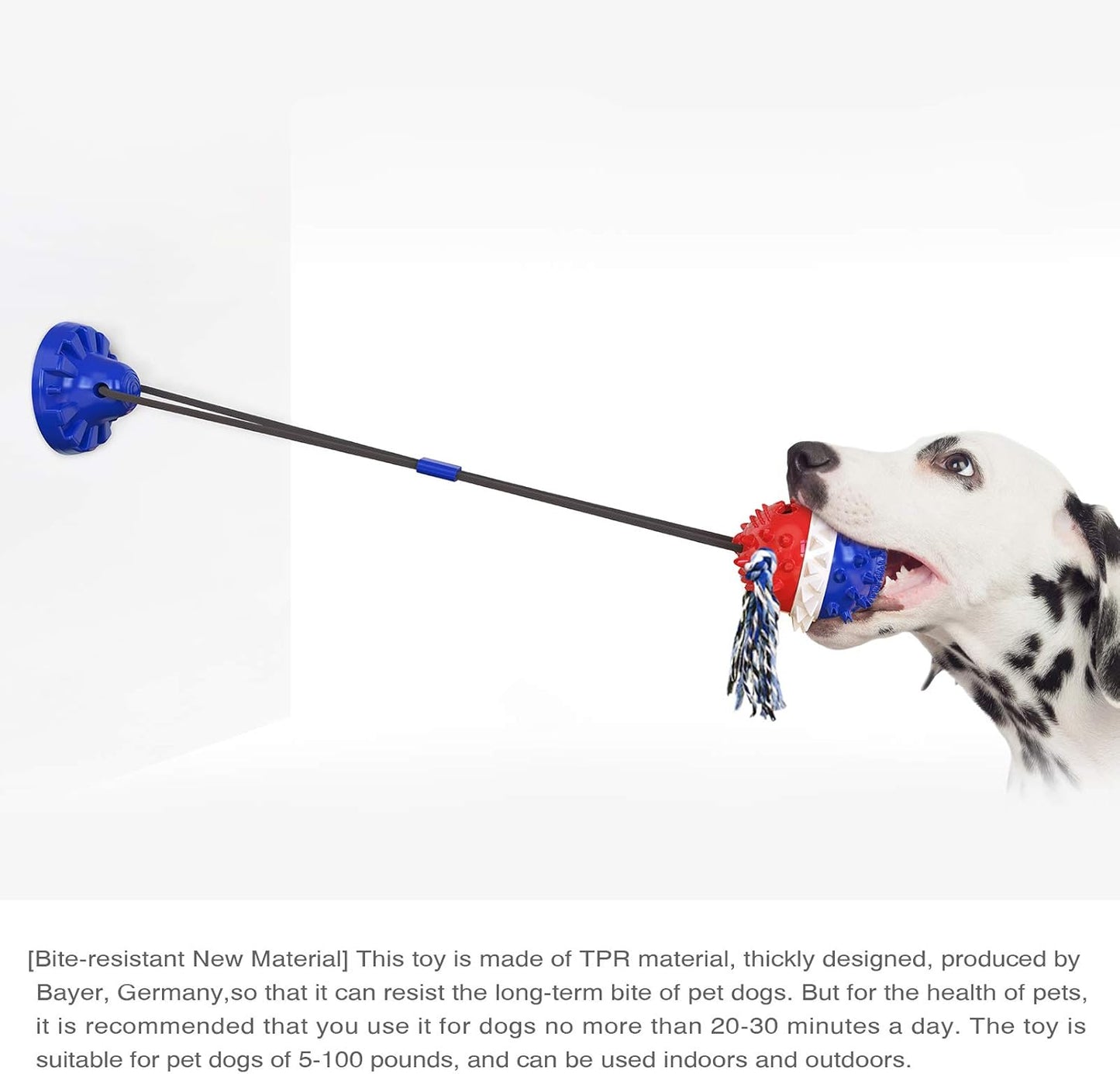 Suction Cup Tug Toy for Aggressive Chewers