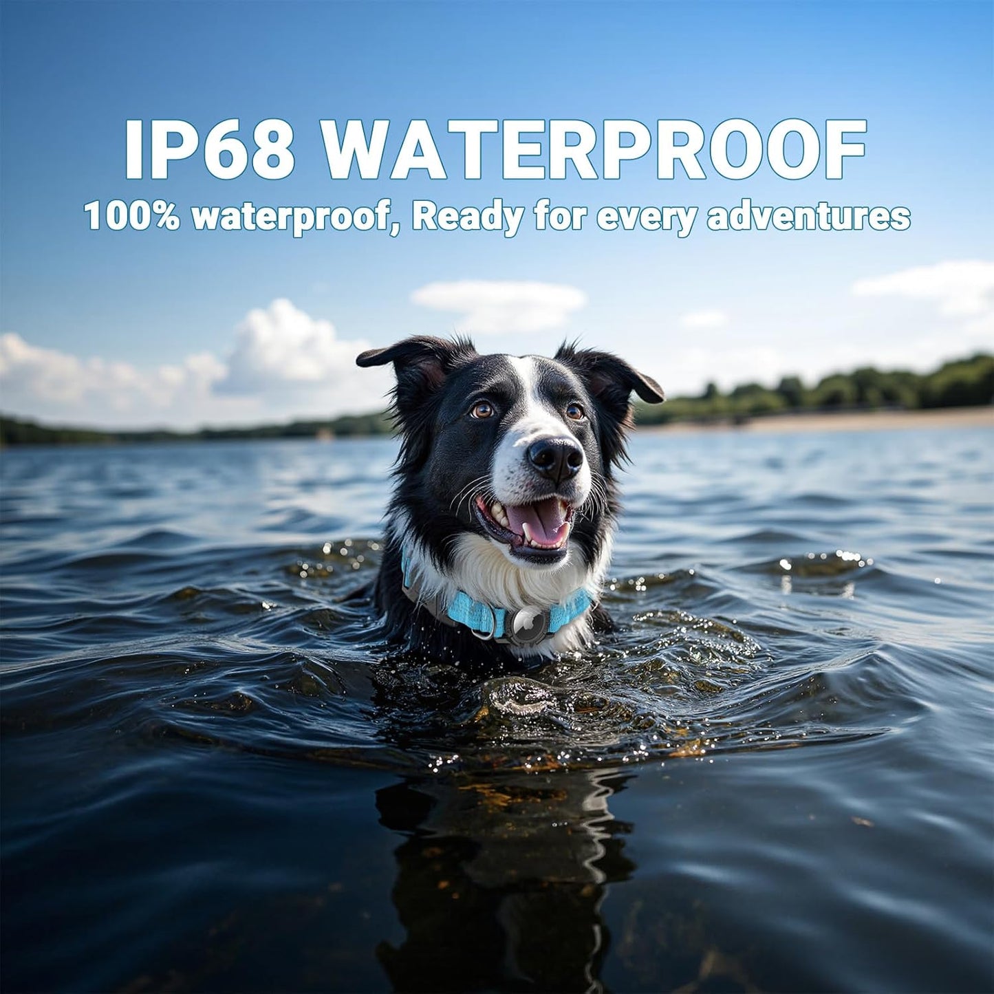 Waterproof AirTag Dog Collar with Reflective Padding