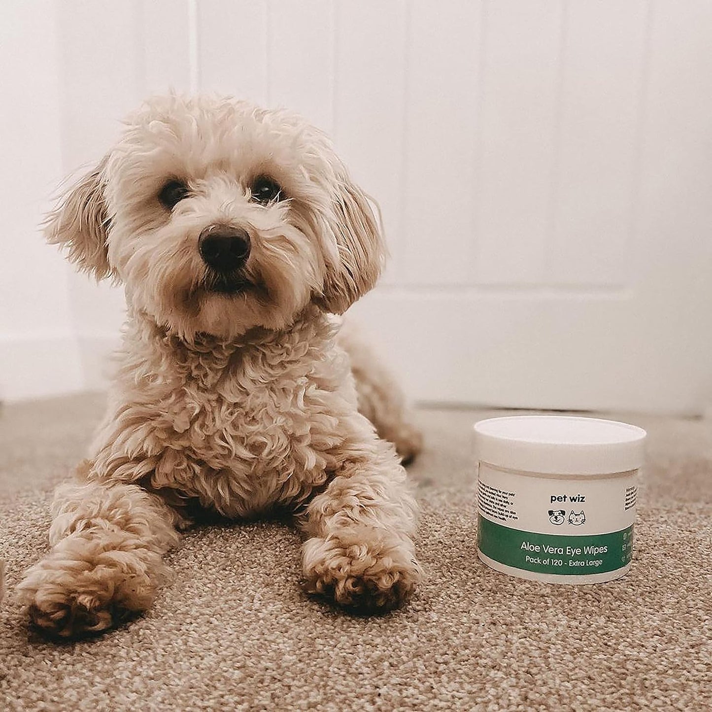 Aloe Vera Eye Wipes for Dogs & Cats