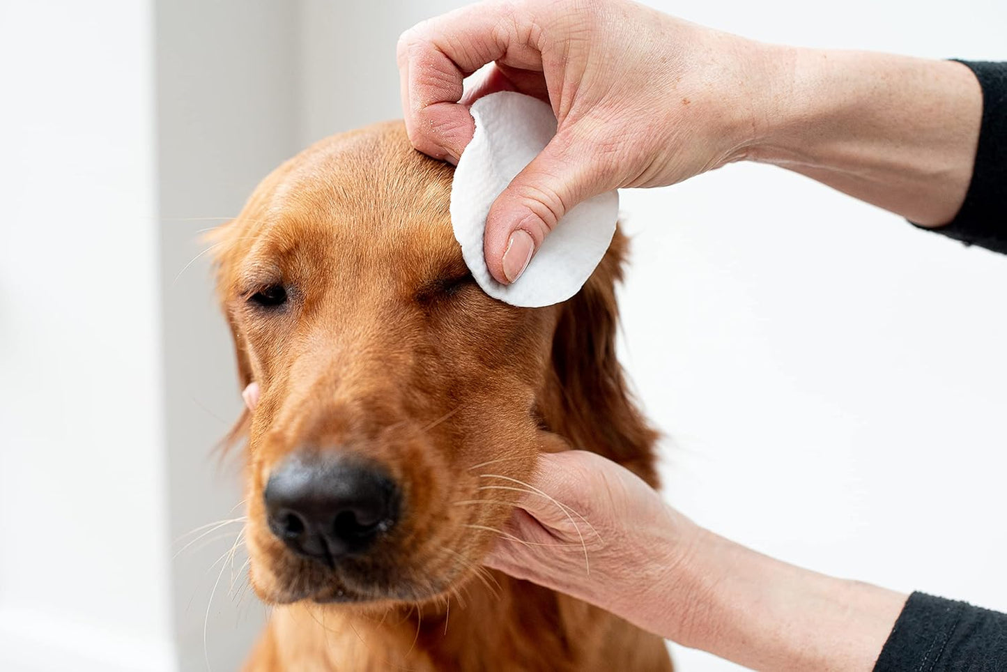 Aloe Vera Eye Wipes for Dogs & Cats