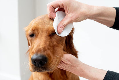 Aloe Vera Eye Wipes for Dogs & Cats