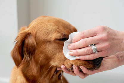 Aloe Vera Eye Wipes for Dogs & Cats