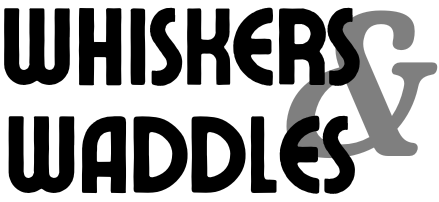 Whiskers and Waddles